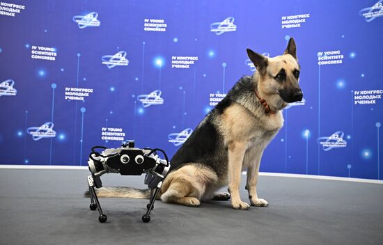 The work of the 4th Young Scientists Congress. Location: Russia, Federal territory 'Sirius'. Author: Sergey Bobylev. 4th Young Scientists Congress