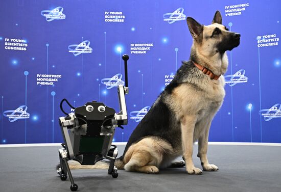 The 4th Young Scientists Congress. Location: Russia, Federal territory 'Sirius'. Author: Sergey Bobylev. 4th Young Scientists Congress