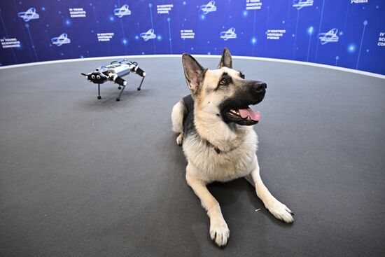 The 4th Young Scientists Congress. Location: Russia, Federal territory 'Sirius'. Author: Sergey Bobylev. 4th Young Scientists Congress