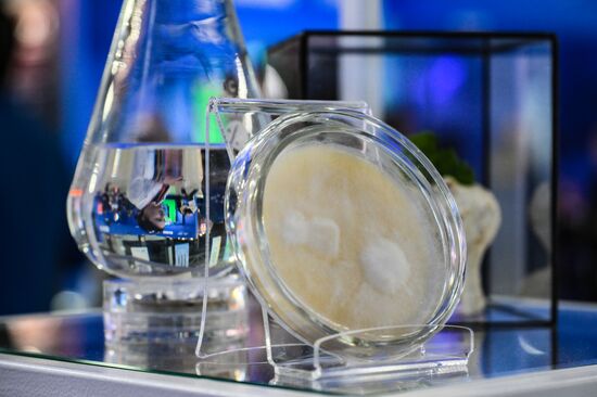 The 4th Young Scientists Congress. Location: Russia, Federal territory 'Sirius'. Author: Ekaterina Chesnokova. 4th Young Scientists Congress