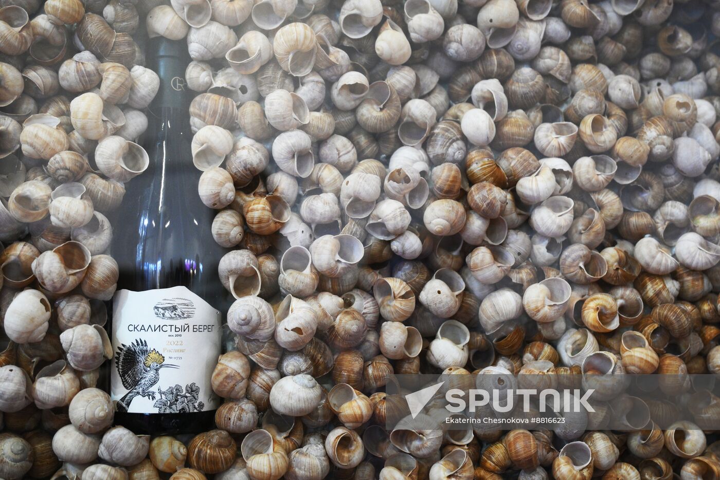 4th Young Scientists Congress