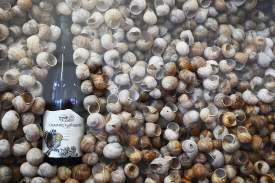 The work of the 4th Young Scientists Congress. Location: Russia, Federal territory 'Sirius'. Author: Ekaterina Chesnokova. 4th Young Scientists Congress