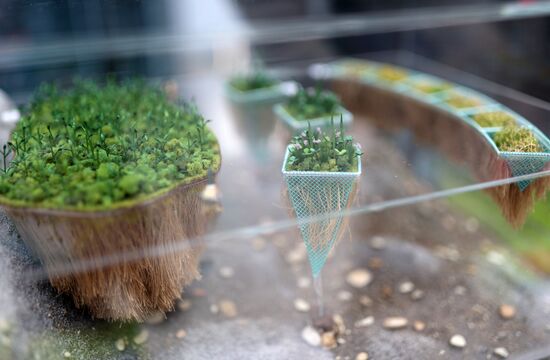 The 4th Young Scientists Congress. Location: Russia, Federal territory 'Sirius'. Author: Vitaly Timkiv. 4th Young Scientists Congress