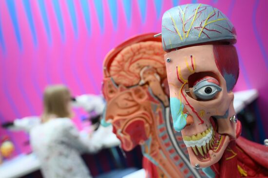 The 4th Young Scientists Congress. Location: Russia, Federal territory 'Sirius'. Author: Pelagiya Tikhonova. 4th Young Scientists Congress