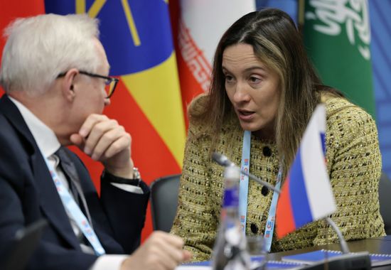 The Fifth BRICS Sherpas/Sous-Sherpas Meeting in Ekaterinburg. Victoria Panova, Vice Rector, HSE University, Russia's Sherpa at W20. Location: Russia, Yekaterinburg. Author: Anatoliy Medved. Fifth BRICS Sherpas/Sous-Sherpas Meeting in Ekaterinburg