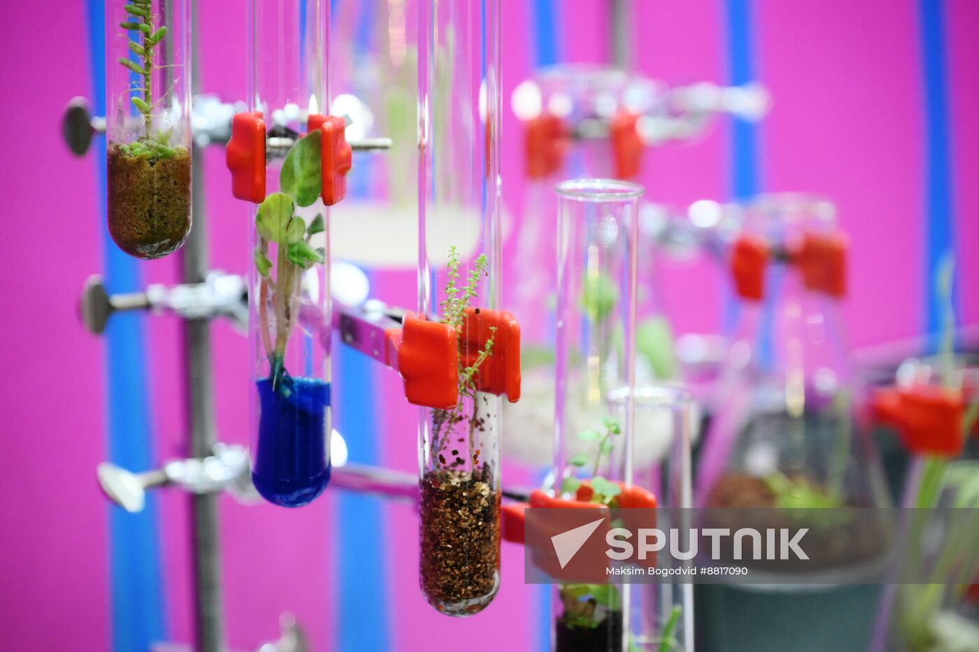 4th Young Scientists Congress