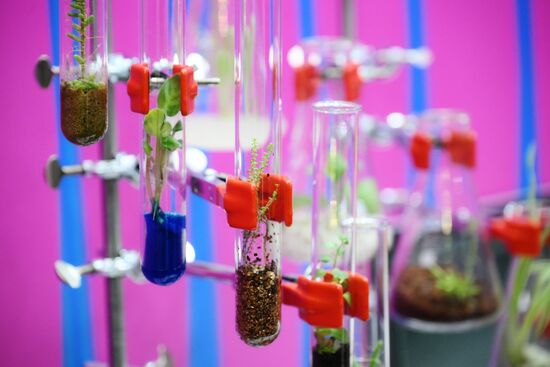 The 4th Young Scientists Congress. Location: Russia, Federal territory 'Sirius'. Author: Maksim Bogodvid. 4th Young Scientists Congress