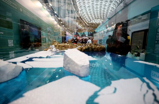 The 4th Young Scientists Congress. Location: Russia, Federal territory 'Sirius'. Author: Vitaly Timkiv. 4th Young Scientists Congress