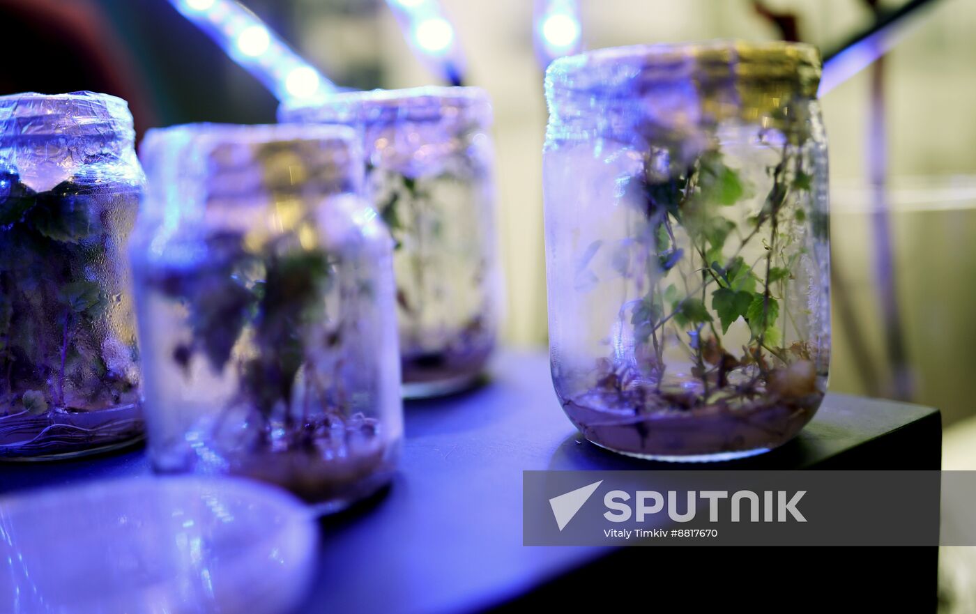 4th Young Scientists Congress