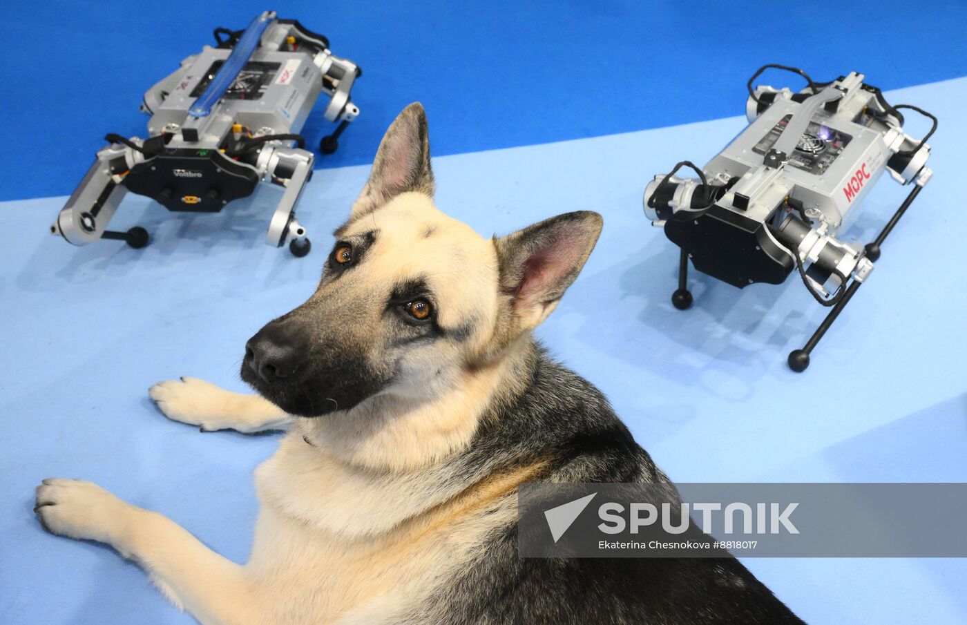 4th Young Scientists Congress