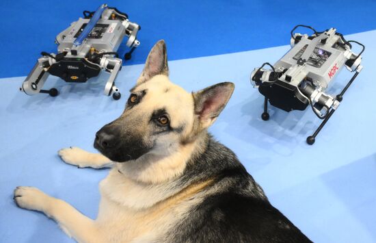 The 4th Young Scientists Congress. Location: Russia, Federal territory 'Sirius'. Author: Ekaterina Chesnokova. 4th Young Scientists Congress