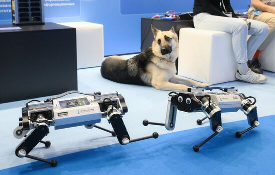 The 4th Young Scientists Congress. Location: Russia, Federal territory 'Sirius'. Author: Ekaterina Chesnokova. 4th Young Scientists Congress