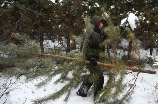 Russia New Year Season Preparations