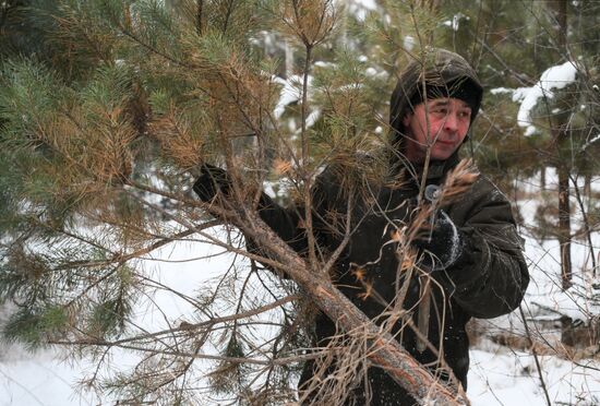 Russia New Year Season Preparations