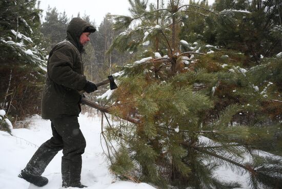 Russia New Year Season Preparations