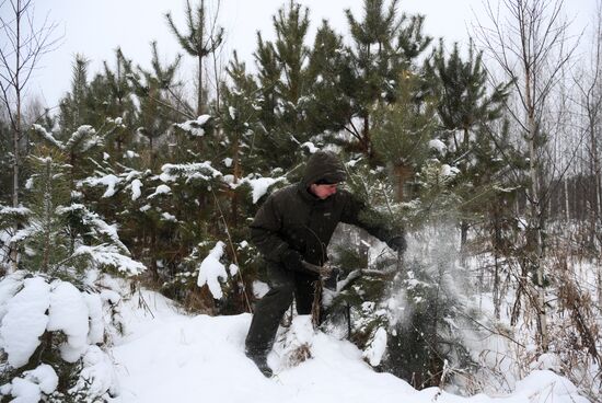 Russia New Year Season Preparations