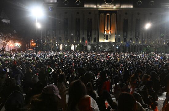 Georgia Protests