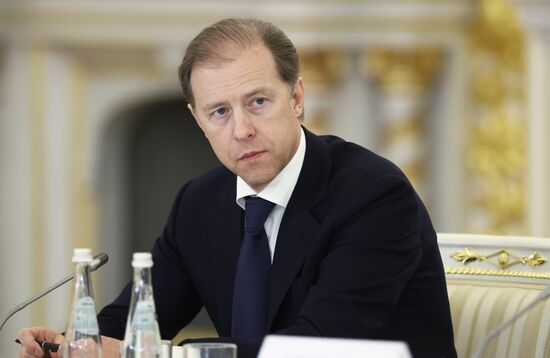 Russia Putin Strategic Development Council