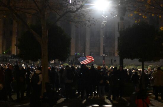 Georgia Protests