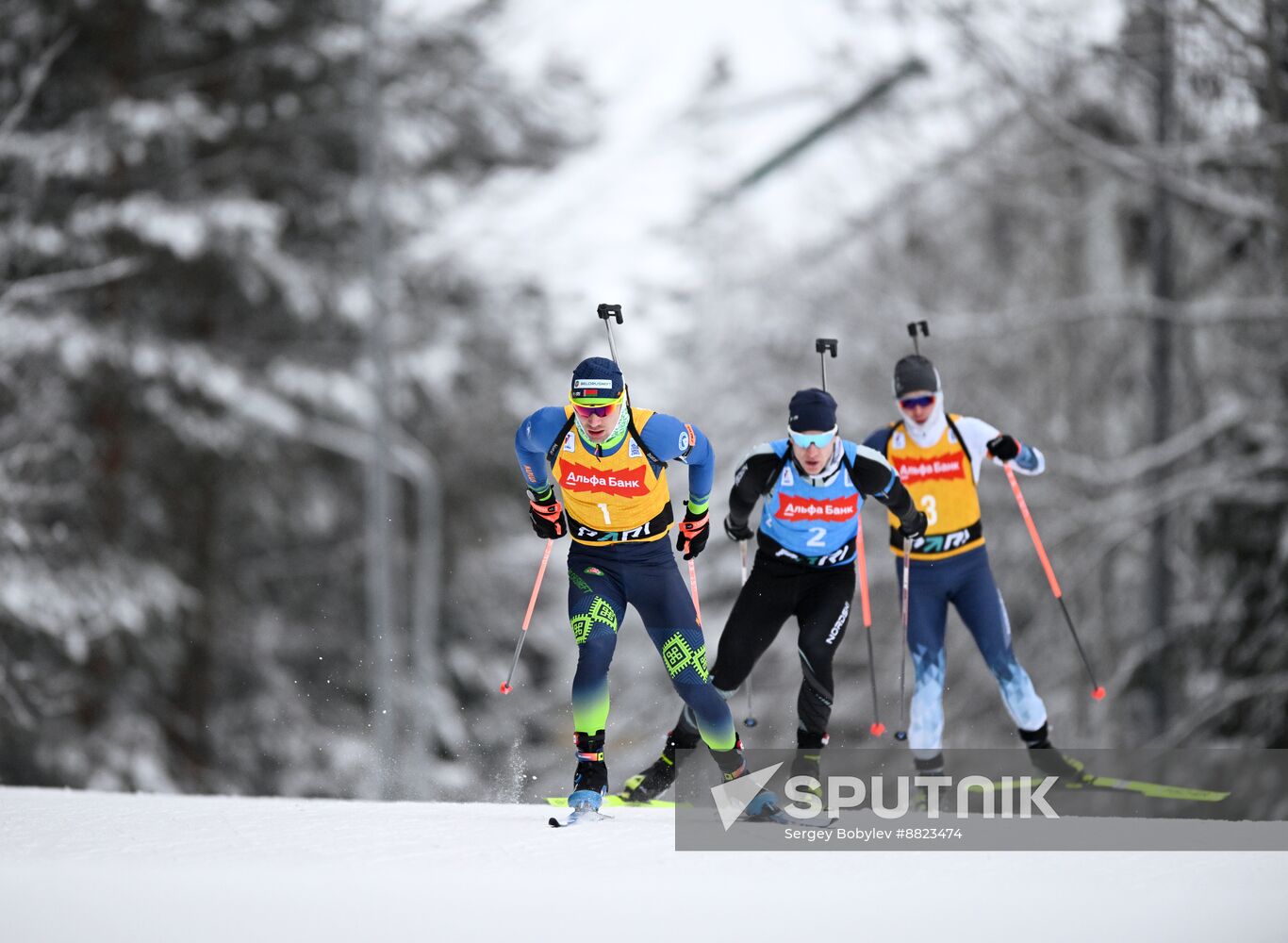 Russia Biathlon Cup Men Pursuit