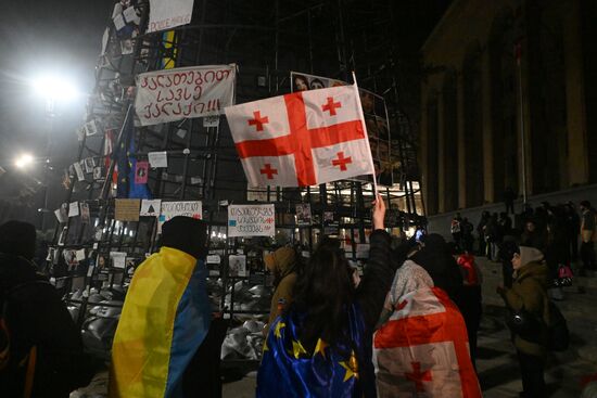 Georgia Protests