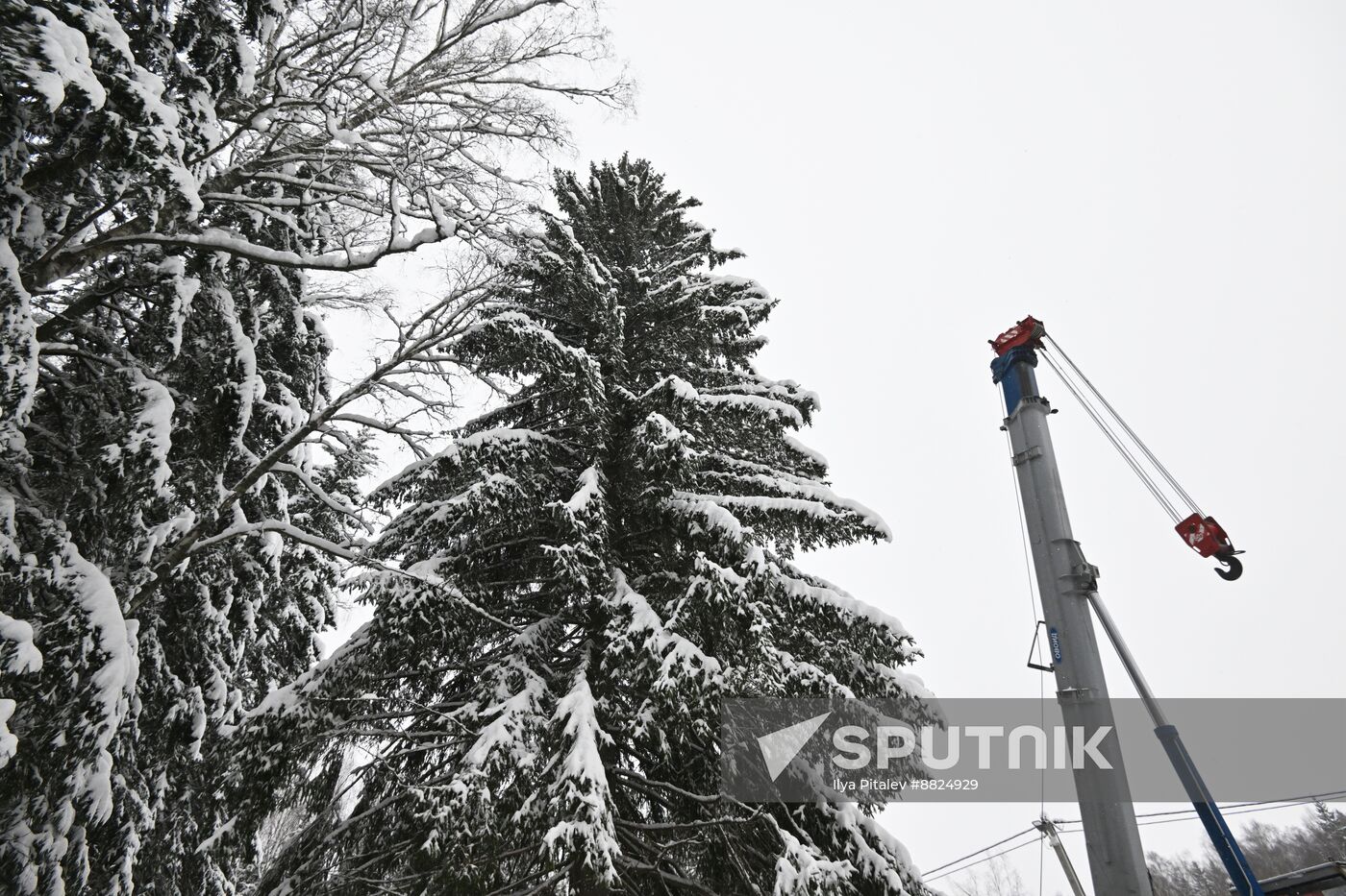 Russia Main Christmas Tree