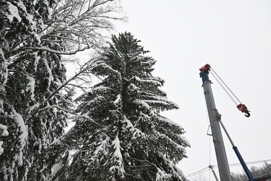 Russia Main Christmas Tree