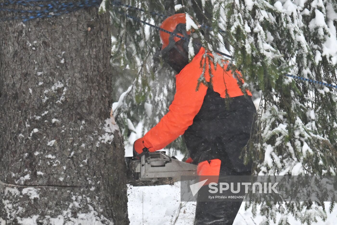 Russia Main Christmas Tree