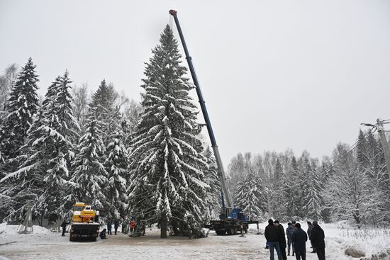 Russia Main Christmas Tree