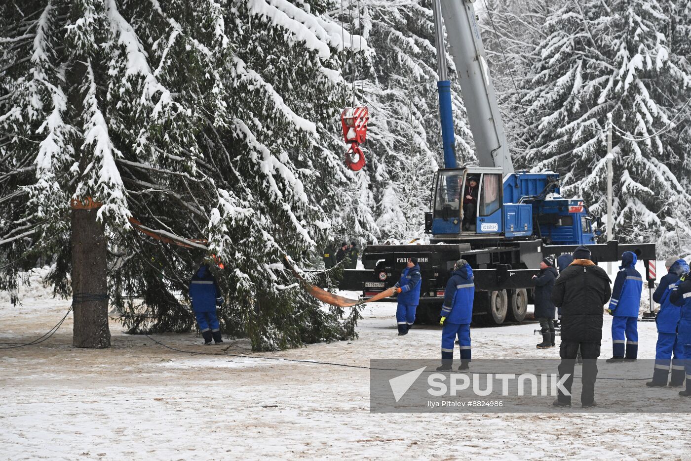 Russia Main Christmas Tree