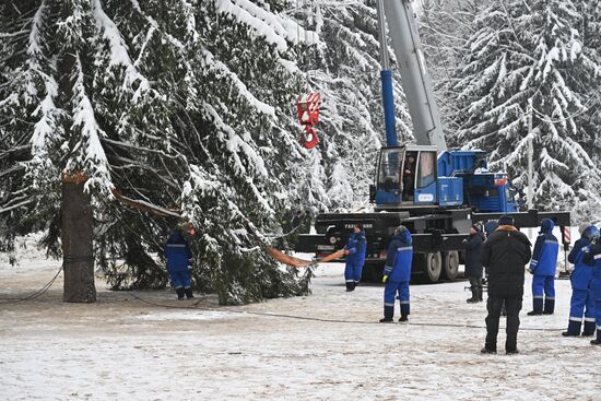 Russia Main Christmas Tree