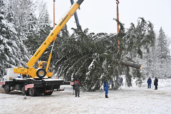 Russia Main Christmas Tree