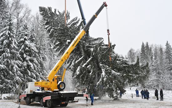 Russia Main Christmas Tree