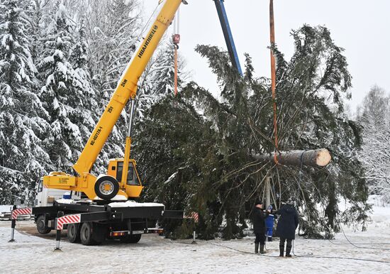 Russia Main Christmas Tree