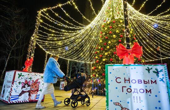 Russia New Year Season Preparations