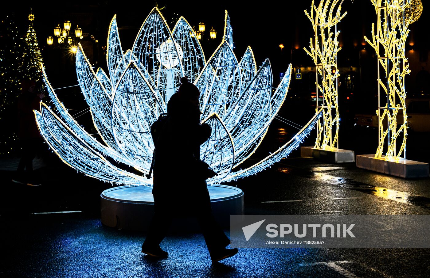 Russia Light Garden