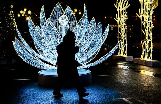 Russia Light Garden