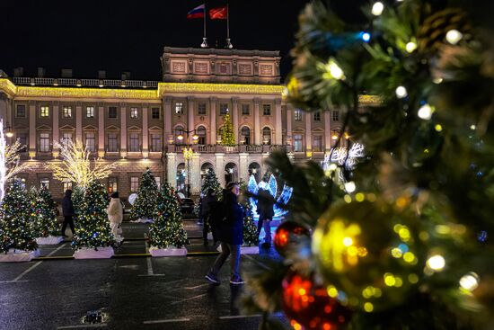 Russia Light Garden