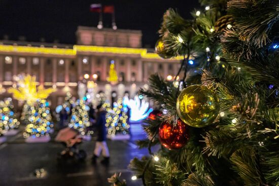 Russia Light Garden