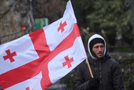 Georgia Protests