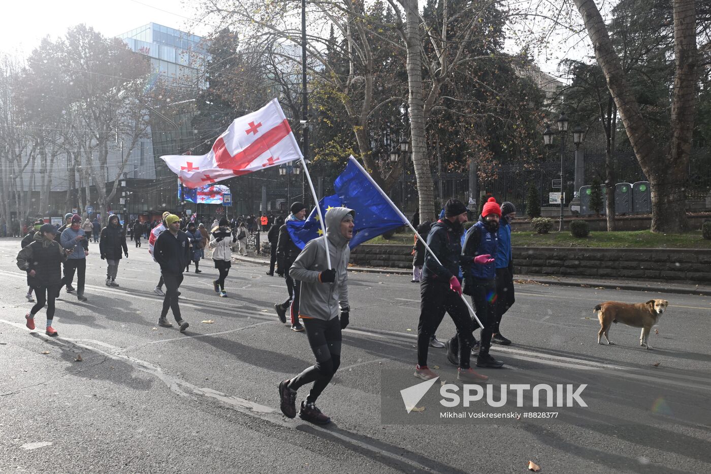 Georgia Protests