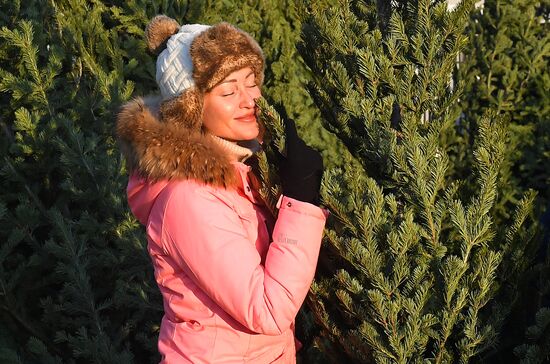 Russia New Year Season Preparations