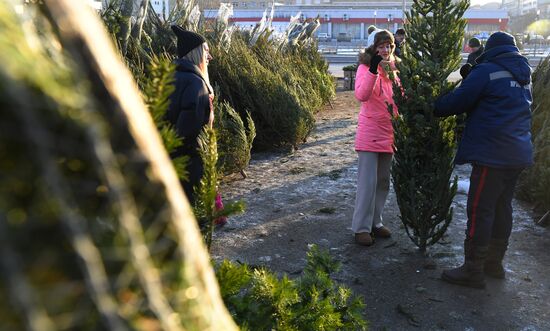 Russia New Year Season Preparations
