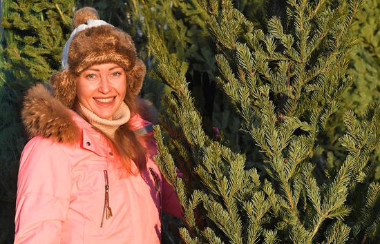 Russia New Year Season Preparations