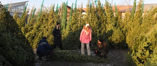 Russia New Year Season Preparations