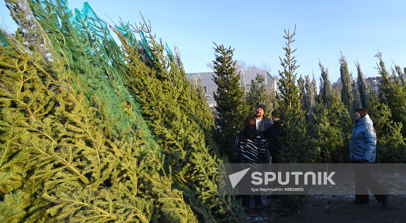 Russia New Year Season Preparations