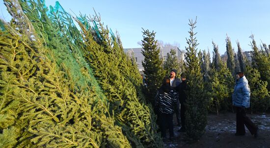 Russia New Year Season Preparations