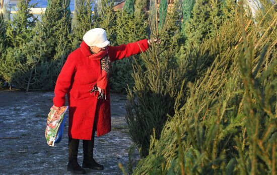 Russia New Year Season Preparations