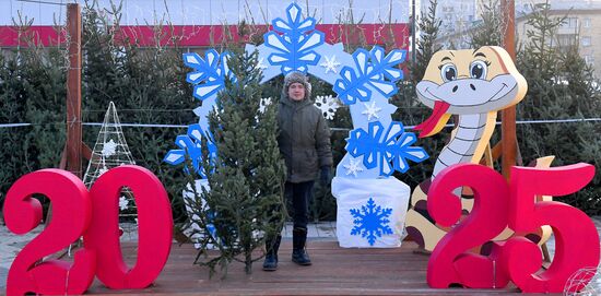 Russia New Year Season Preparations