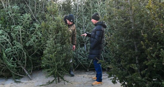 Russia New Year Season Preparations